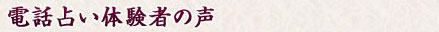 電話占い体験者の声