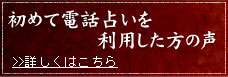 初めて電話占いを利用した方の声